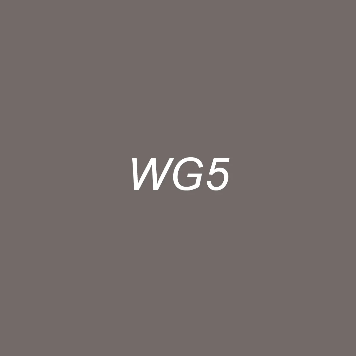 Brush - WG5 Warm Gray 5