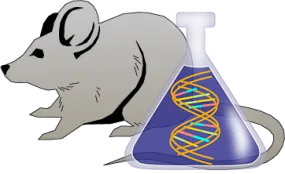 Mouse Factor XII Genetically Deficient Brain