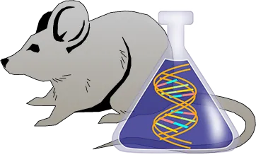 Mouse Factor XII Genetically Deficient Brain