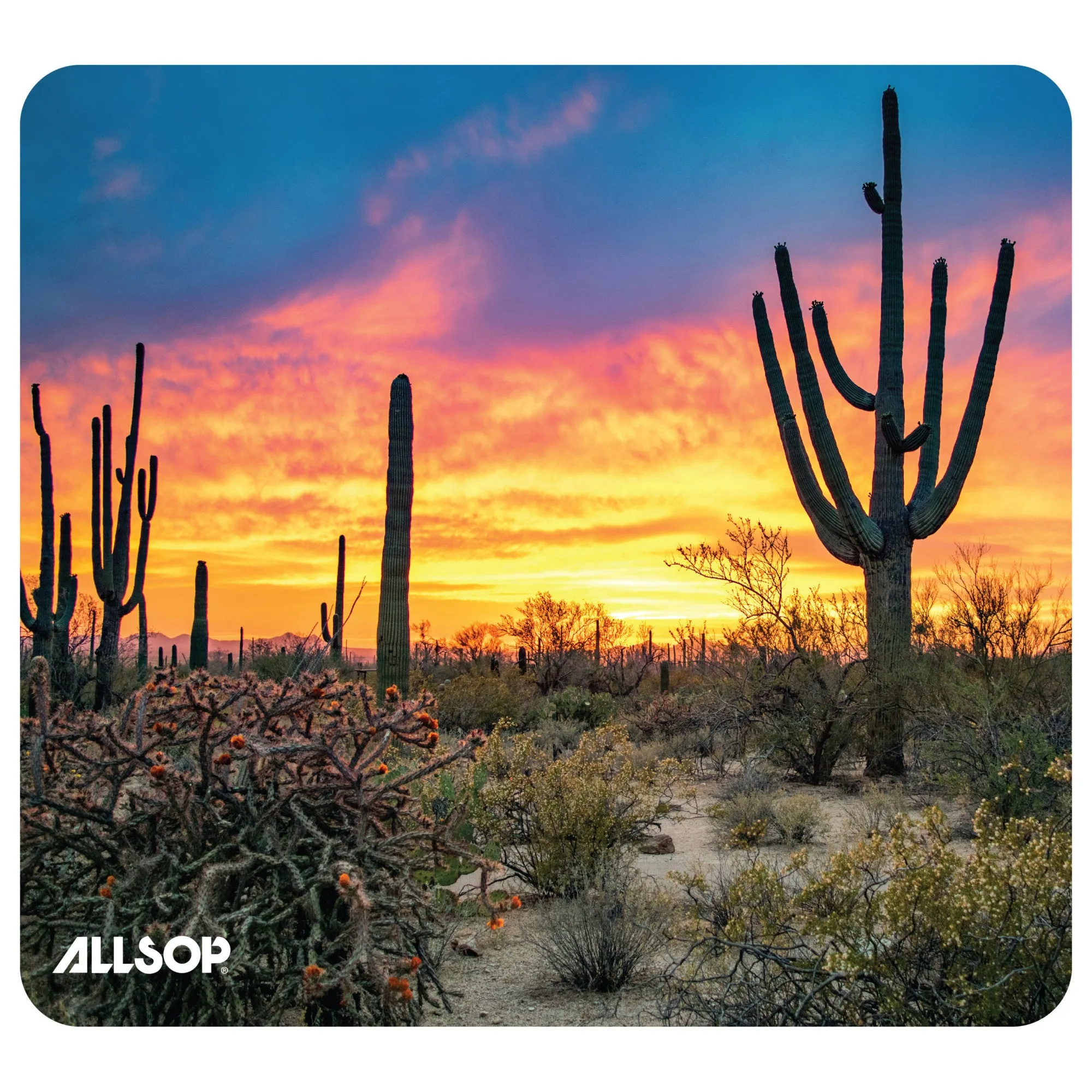 NatureSmart Image Mousepad - Saguaro