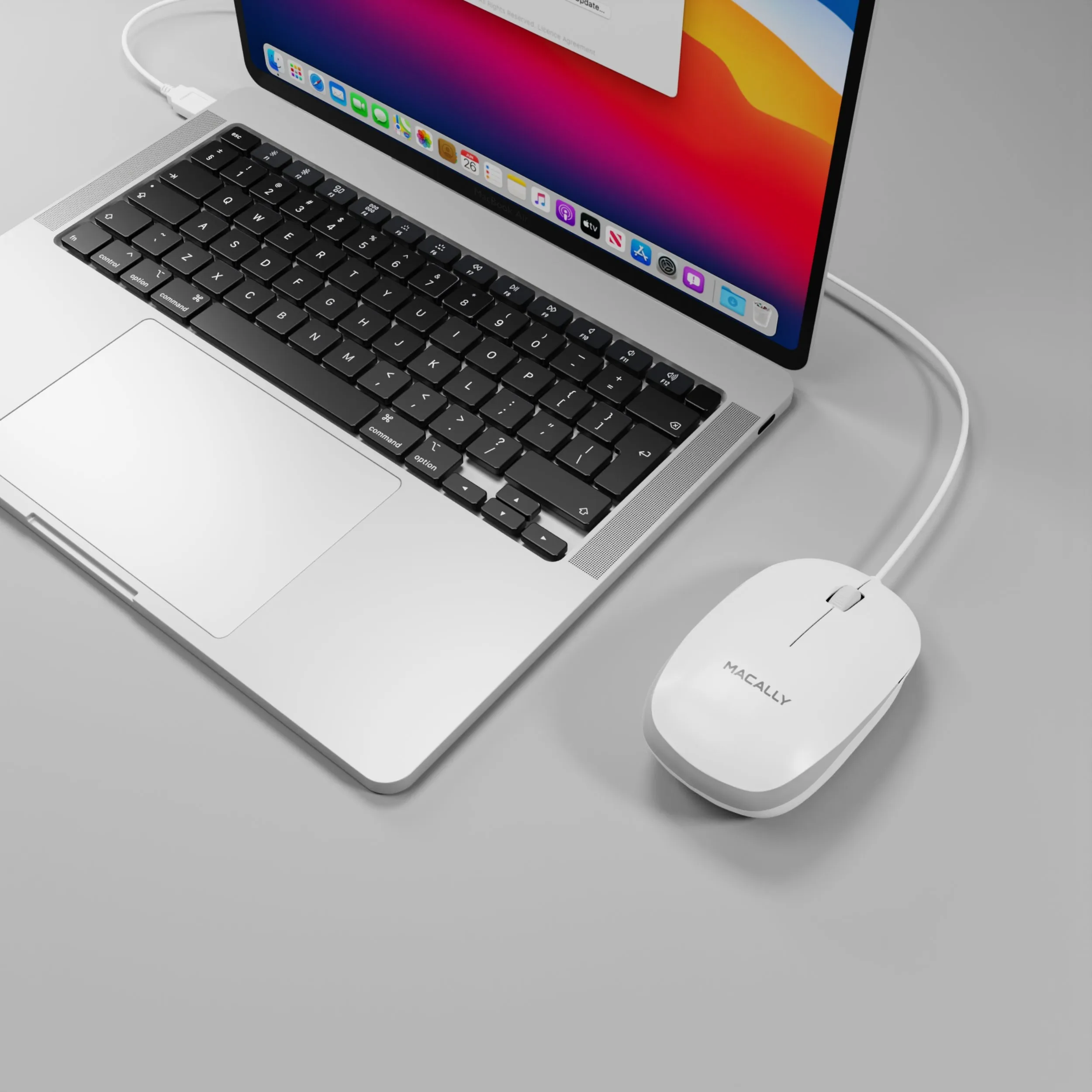 The Standard USB Mouse for Mac and PC